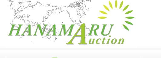 HANAMARU